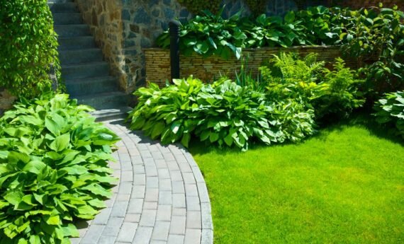 Garden stone path with grass growing up between the stones.Detail of a botanical garden.