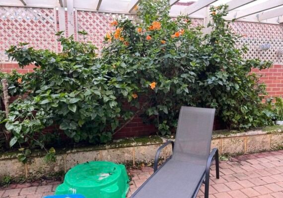 480530955_572813539083262_7931615949101973100_n