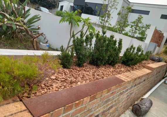 480741168_576546118710004_1314111005111983717_n