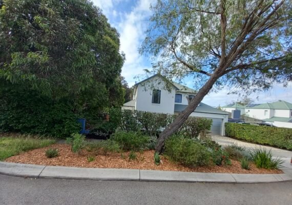 480742828_575559595475323_6956385812587873214_n