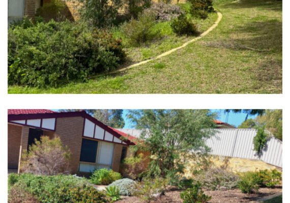 480926947_574365938928022_7808223825038142296_n