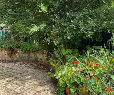 480956013_575557875475495_1773257422277951793_n