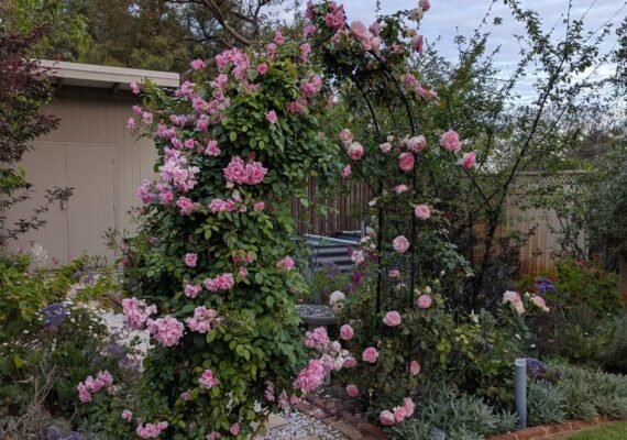 481098634_576140735417209_6407054183999804067_n