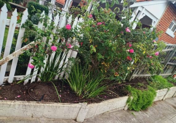 497391890_637742169257065_797073632485823661_n